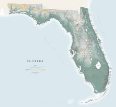 Florida Fine Art Print Map